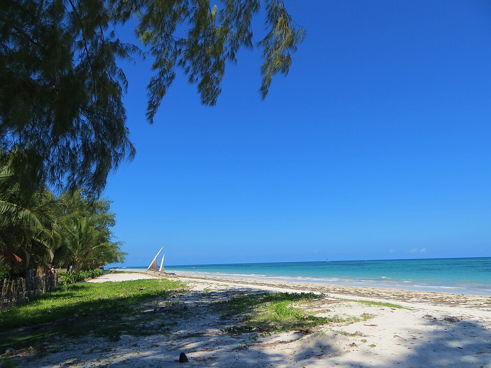 White sand and palms at Diani Beach