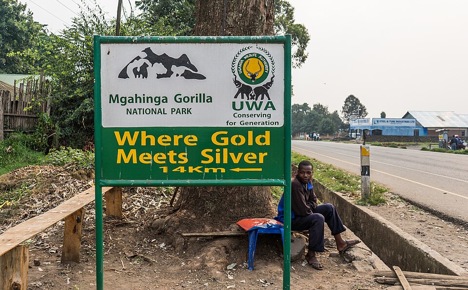 Virunga volcanoes of Mgahinga Gorilla National Park