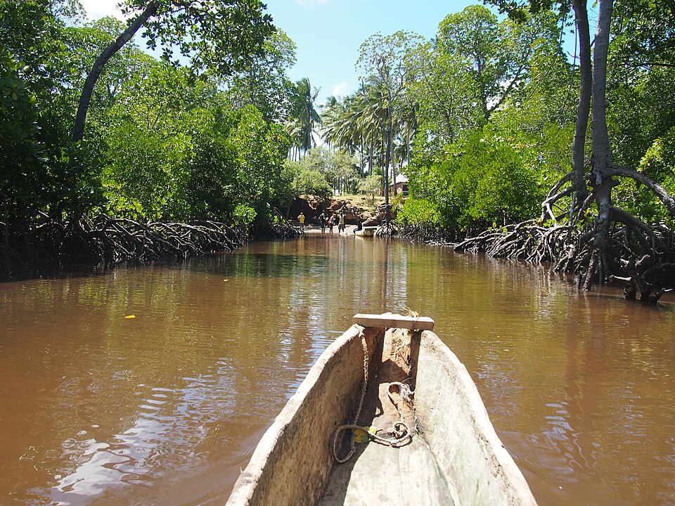 Mida Creek near Watamu at high tide